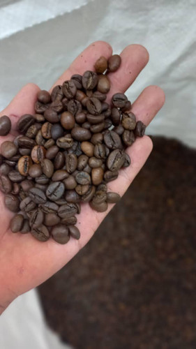 قهوه درجه ۱ پرکافئین